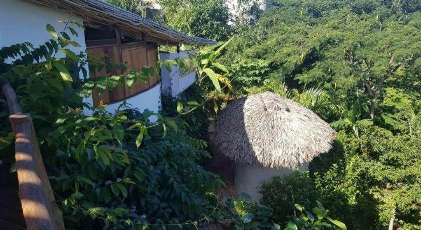 Bamboojam Villa Las Terrenas Εξωτερικό φωτογραφία