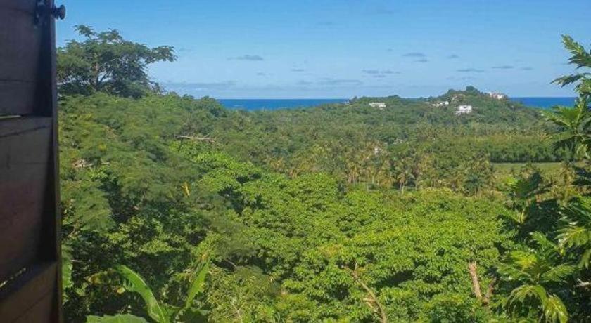 Bamboojam Villa Las Terrenas Εξωτερικό φωτογραφία