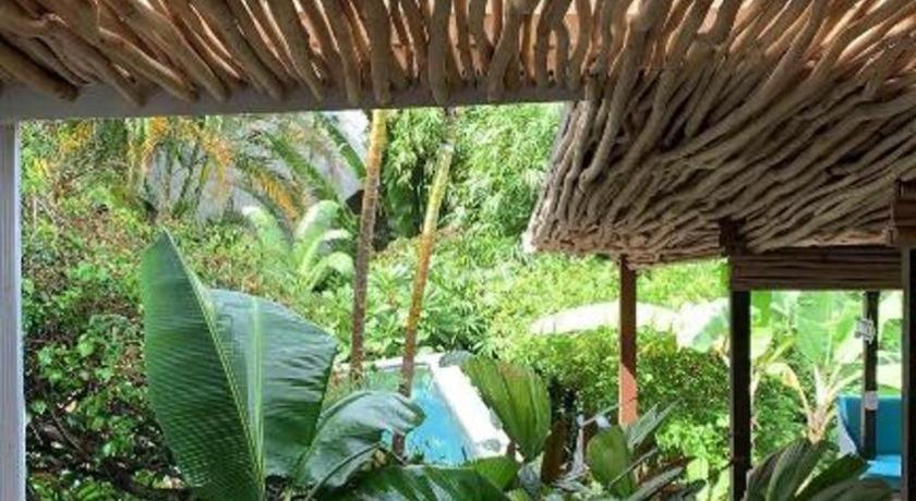 Bamboojam Villa Las Terrenas Εξωτερικό φωτογραφία